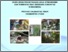 [thumbnail of Eksplorasi Pengetahuan Lokal Etnomedisin dan Tumbuhan Obat Berbasis Komunitas di Indonesia Provinsi Kalimantan Timur Kalimantan Utara.pdf]