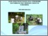 [thumbnail of Maluku.pdf]