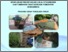 [thumbnail of NTT.pdf]