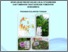 [thumbnail of Sul Tengah.pdf]