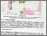 [thumbnail of Bab 4a.pdf]
